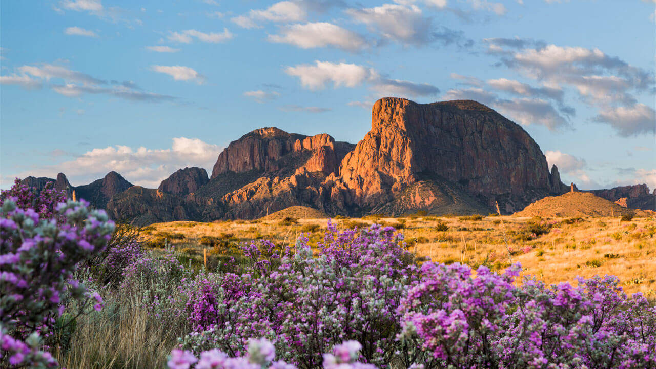 big bend national park