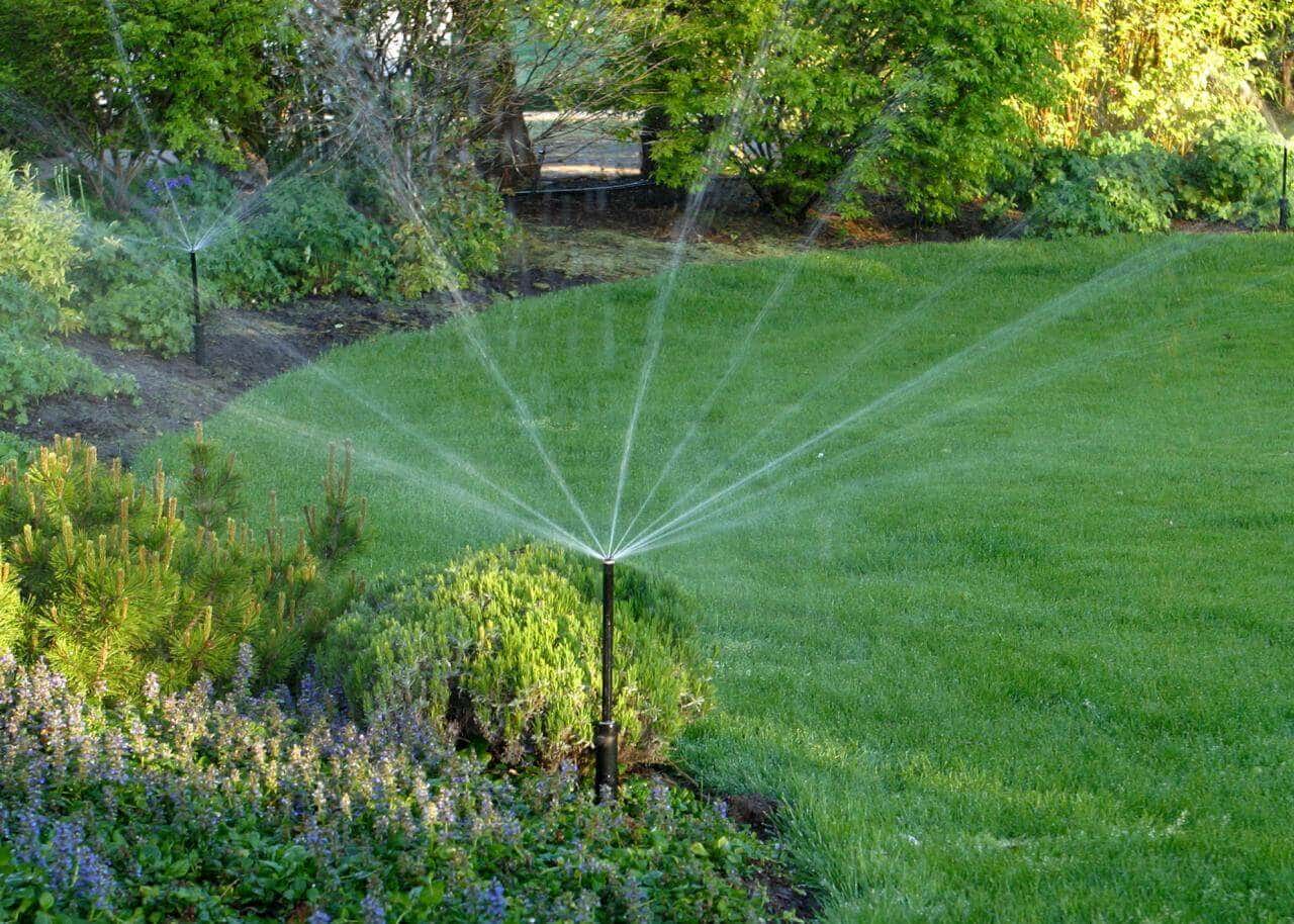Guide-To-Garden-Watering-3-min