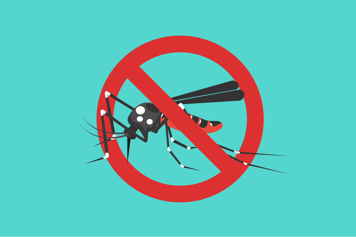 How to pervent Dengue