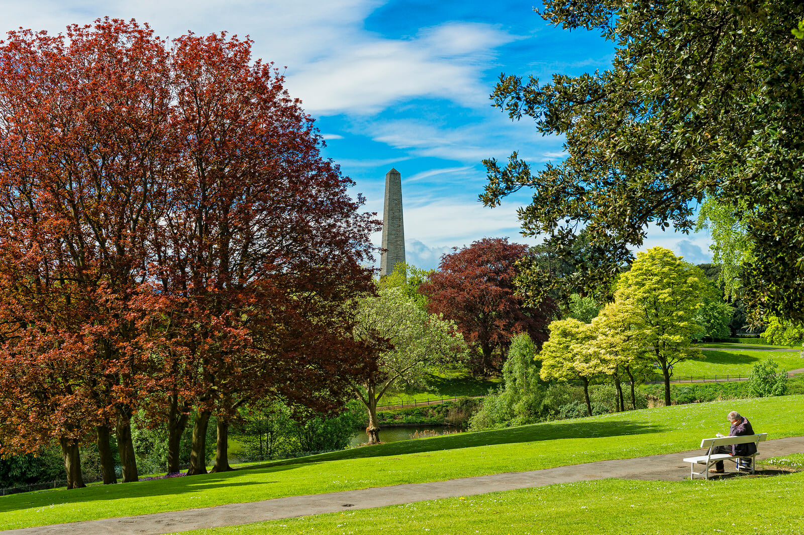 Parks in dublin