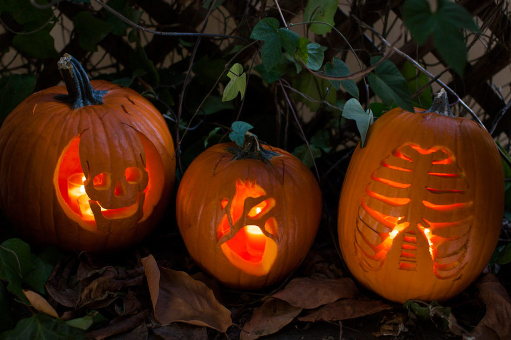 25+ Cute Pumpkin Ideas - Jack O Lantern Designs - Live Enhanced