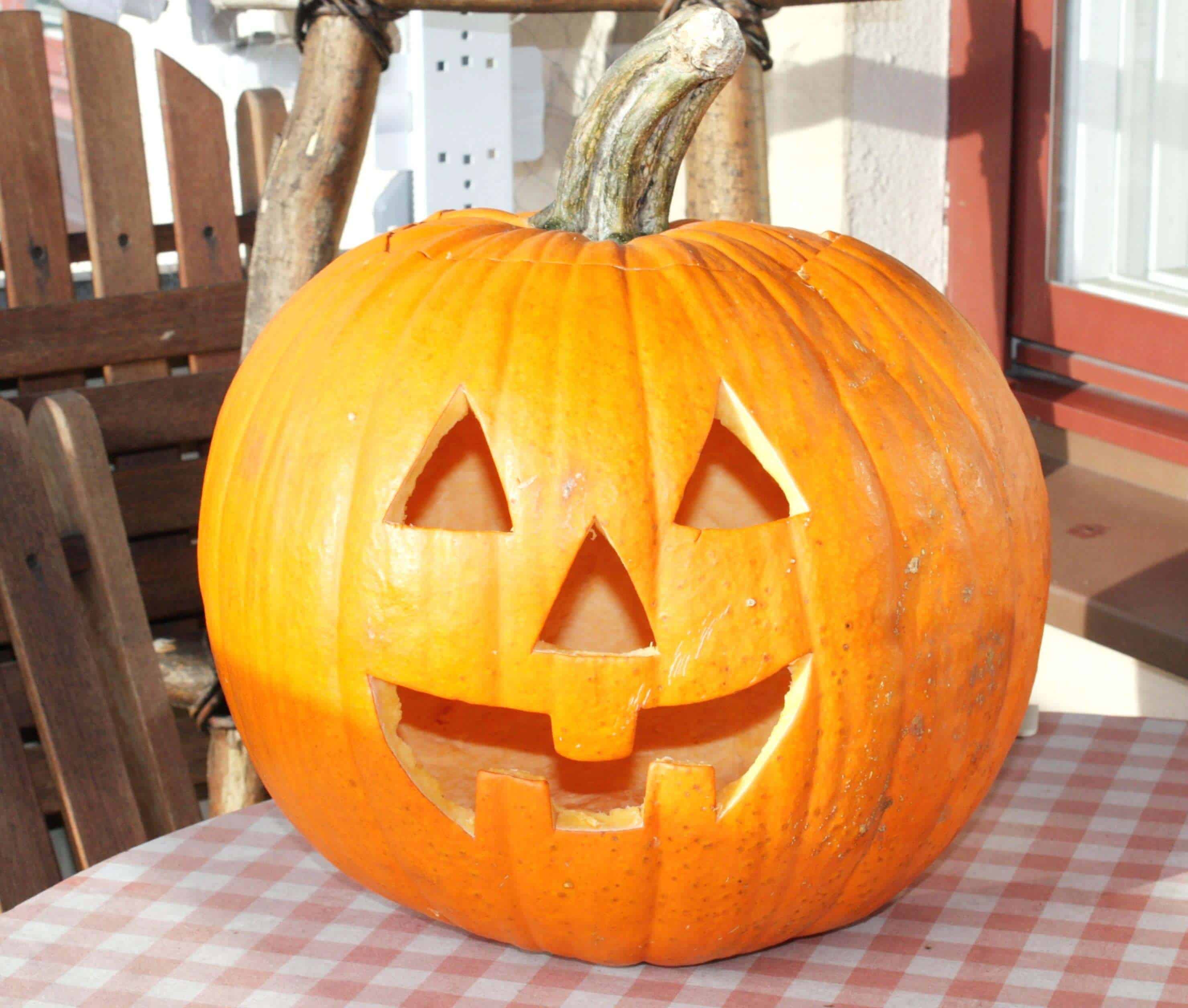 halloween pumpkin 