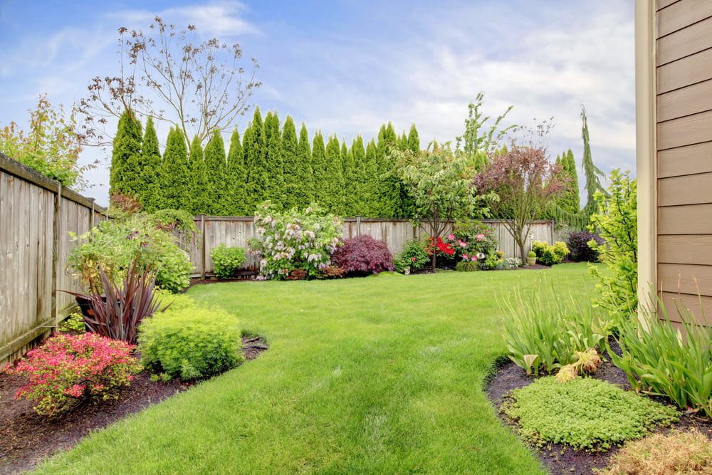 Modern Backyard