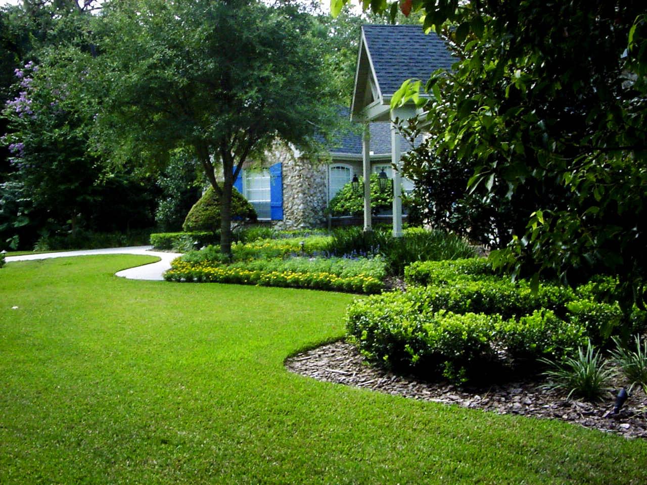 Modern Backyard