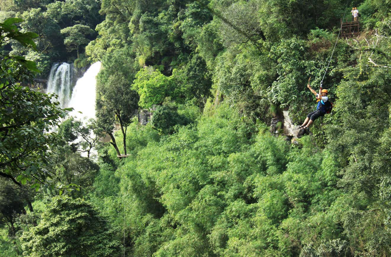 Ziplining over primal forest