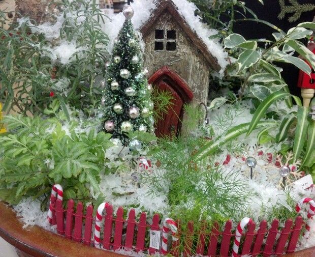 Outdoor Decoration Ideas for Christmas