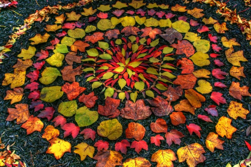 Andy Goldsworthy Art