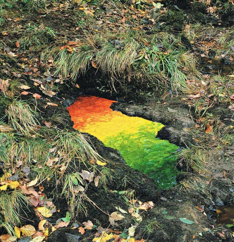 Andy Goldsworthy Art