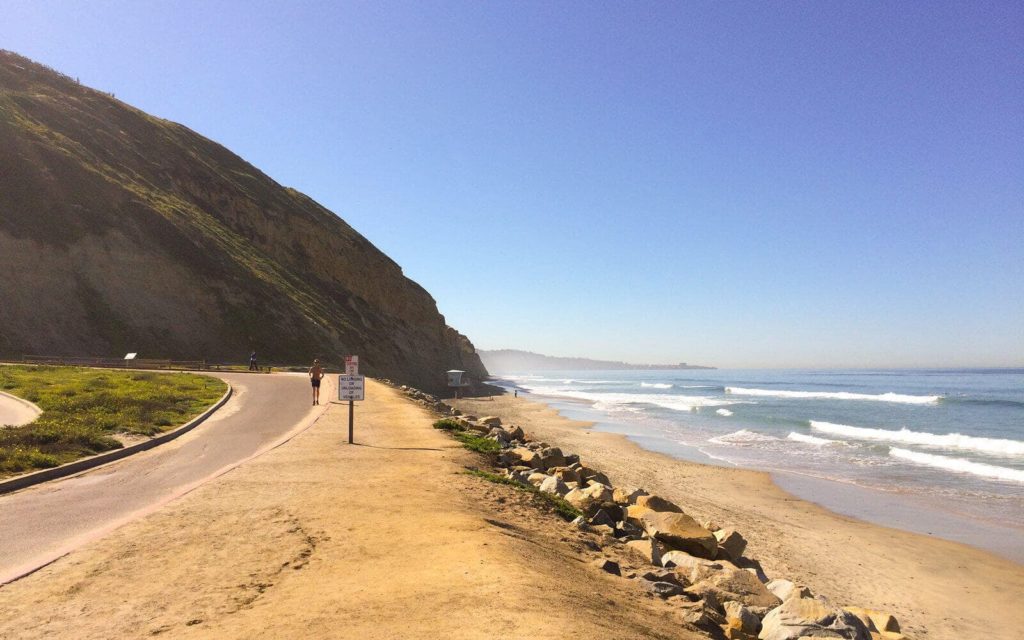 Torrey Pines State Reserve