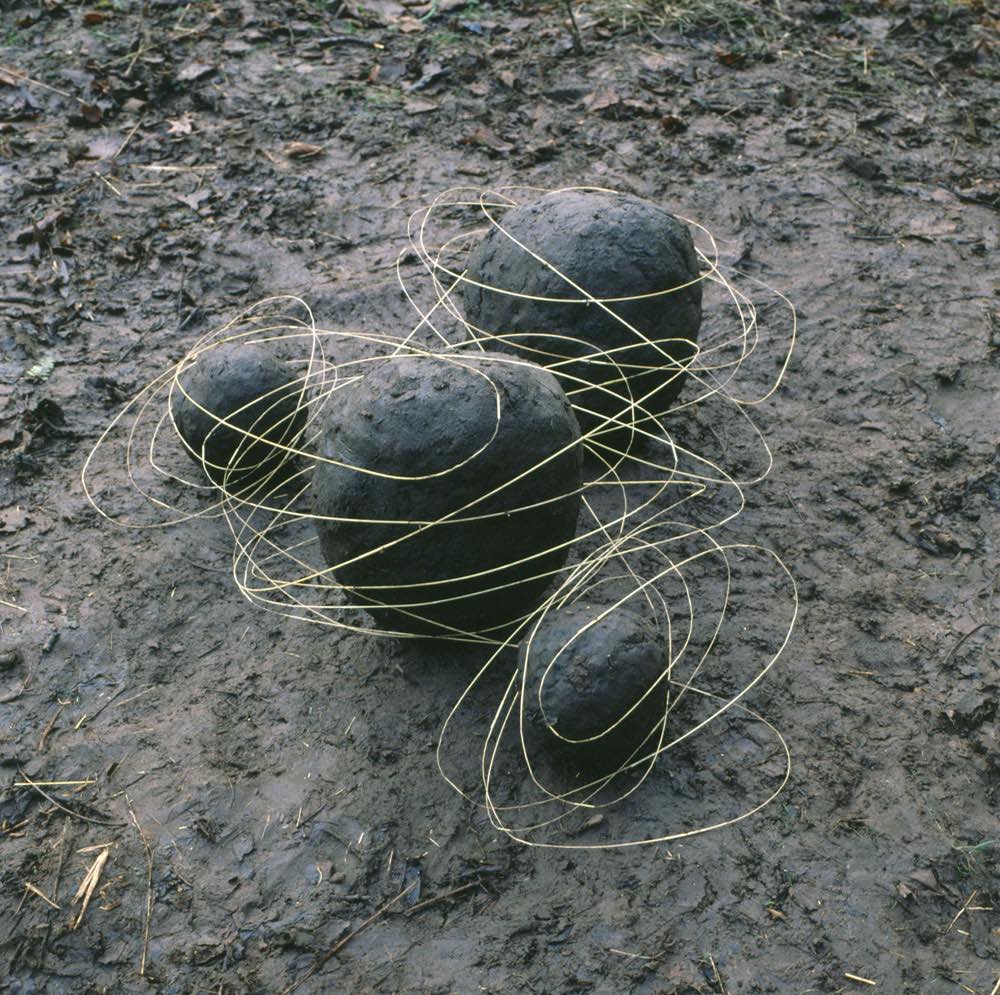 Andy Goldsworthy Art