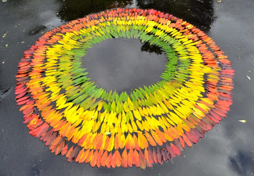 Andy Goldsworthy Art