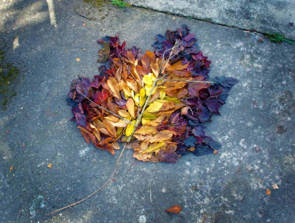 Andy Goldsworthy Art