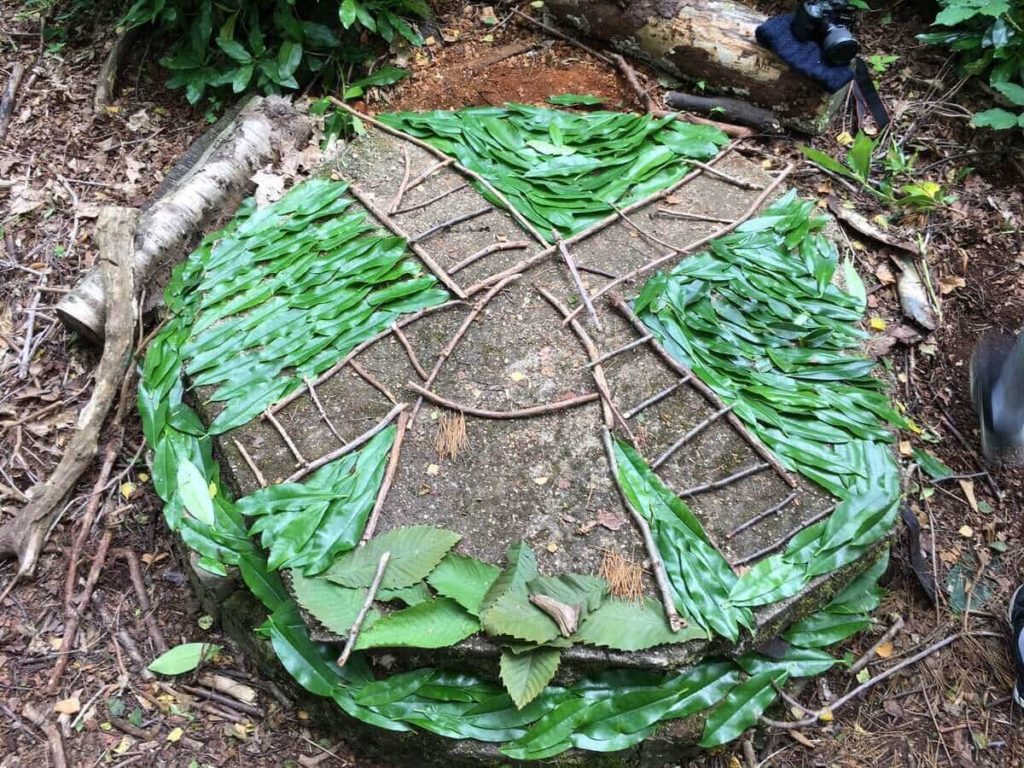 Andy Goldsworthy Art