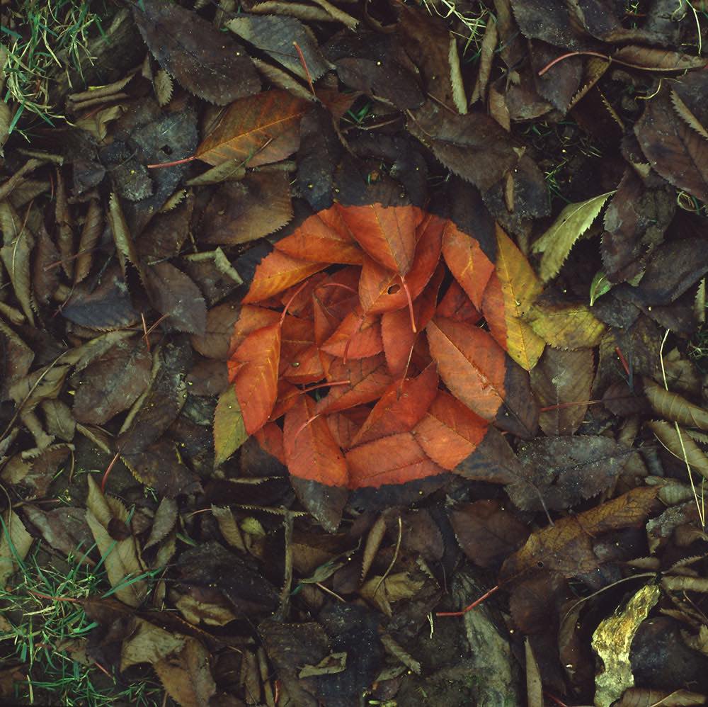 Andy Goldsworthy Art