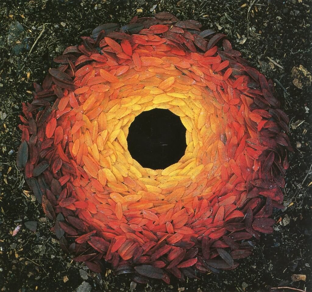 Andy Goldsworthy Art