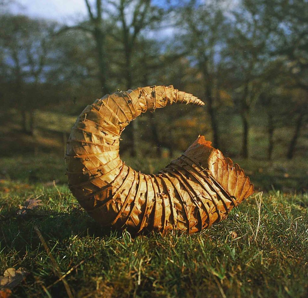 Andy Goldsworthy Art