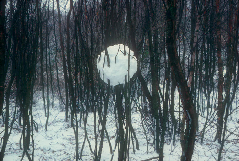 Andy Goldsworthy's 'Snowball in Trees' ice artwork in Yorkshire. A large snowball suspended among tree branches, contrasting against foliage.