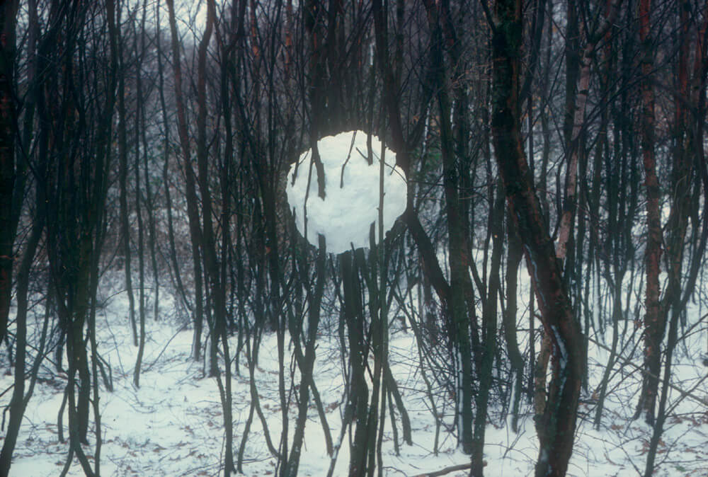 Andy Goldsworthy's 'Snowball in Trees' ice artwork in Yorkshire. A large snowball suspended among tree branches, contrasting against foliage.