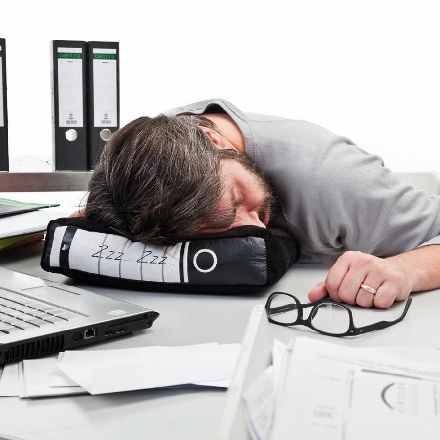 Dictionary Desk Pillow 