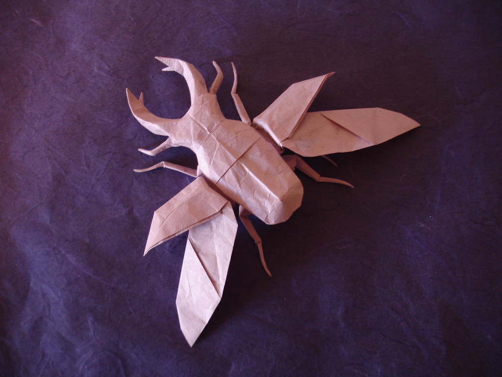 Origami Beetle by Shuki Kato 