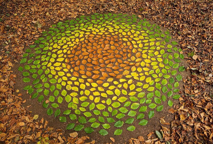 Andy Goldsworthy's leaves artwork - a collection of colored leaves arranged artistically.
