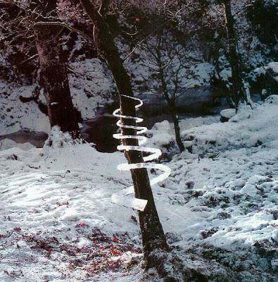 Land art by nature artist Andy Goldsworthy - rotating ice snake crafted around tree.