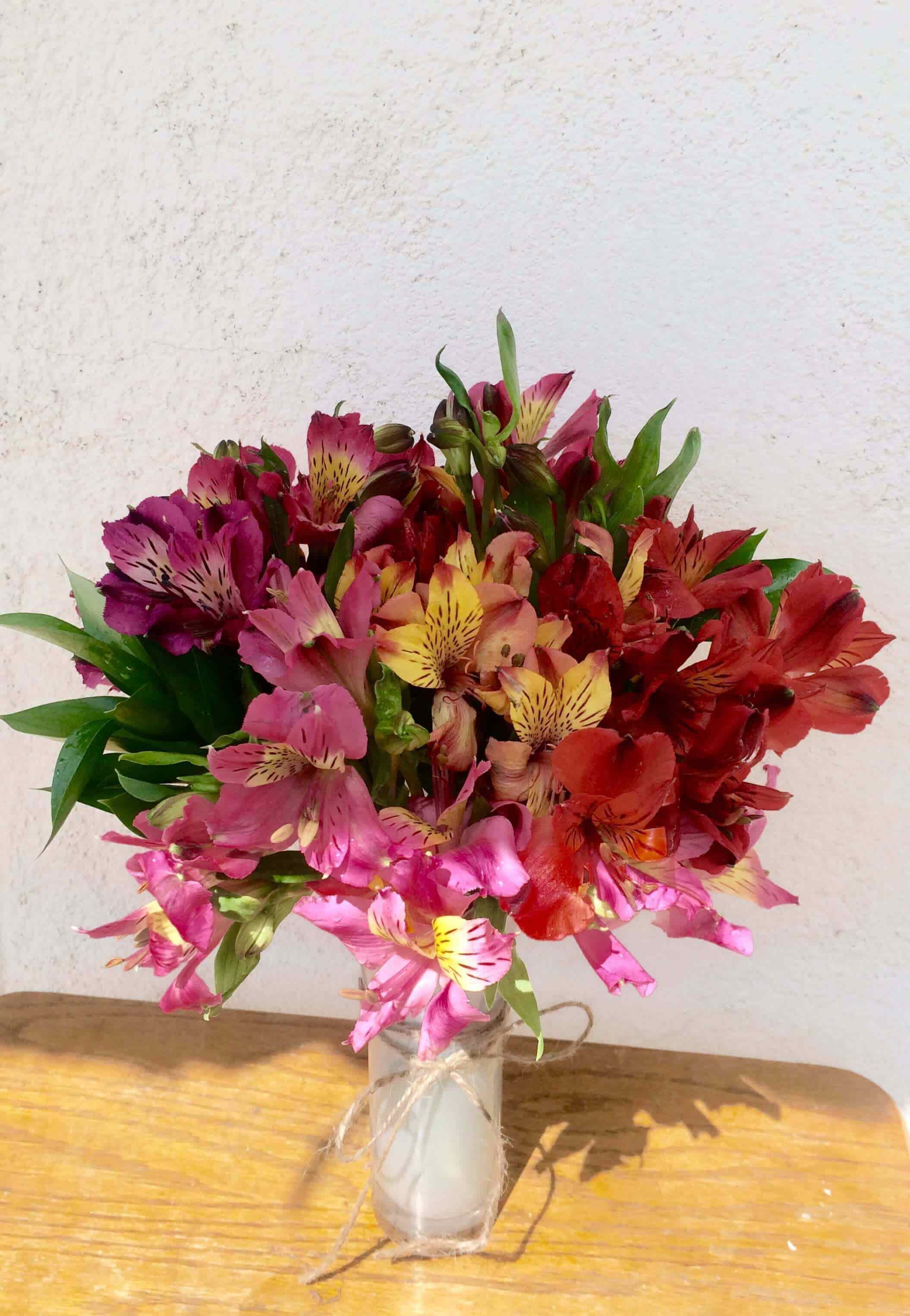 Alstroemeria 