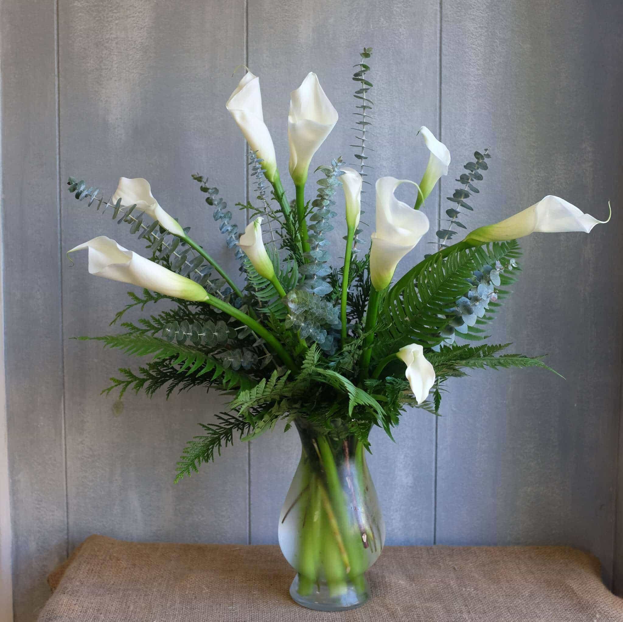 Calla Lilies 