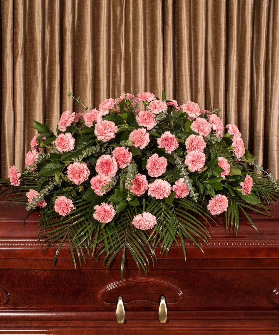 Carnations 