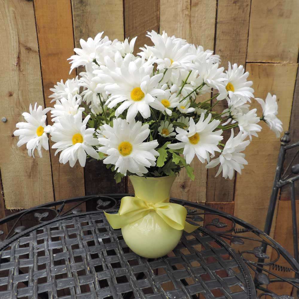 White Daisies 