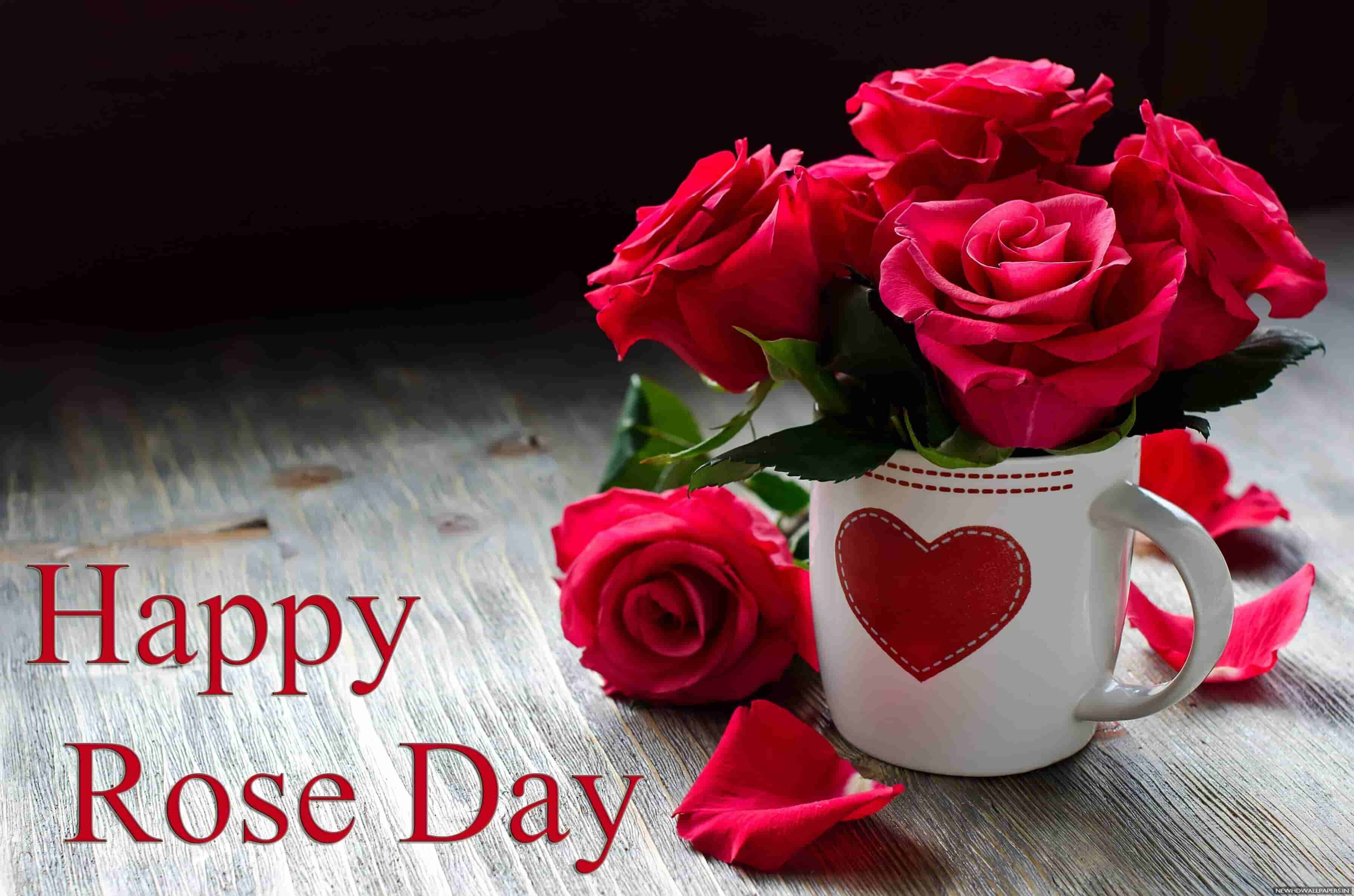 rose day 