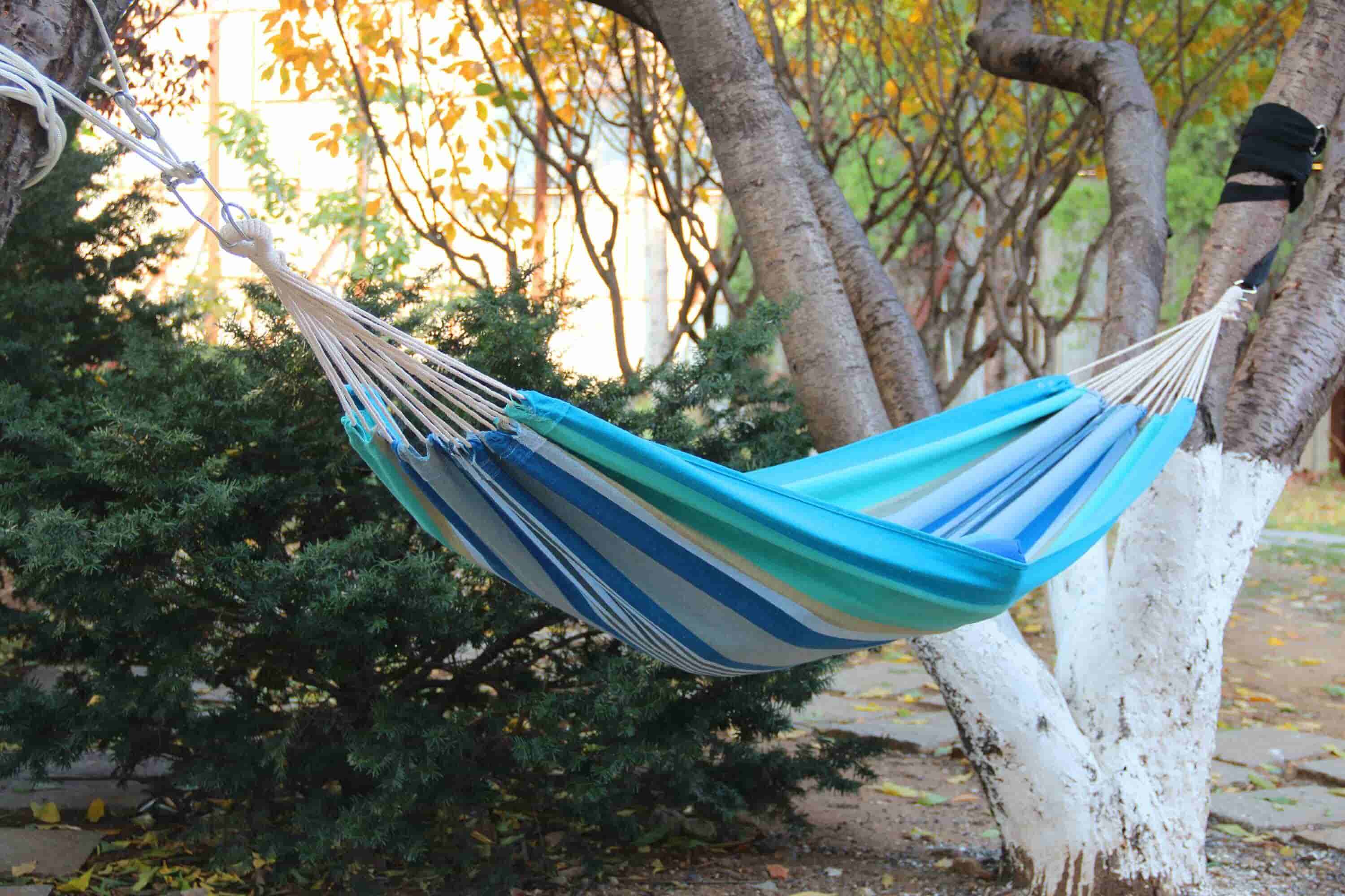 Hammock Design