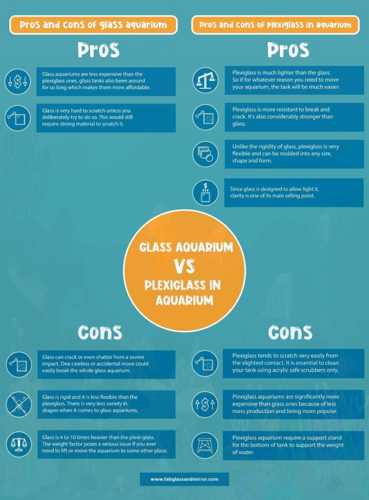 Glass Aquarium Vs Plexiglass Aquarium Which Is for You?