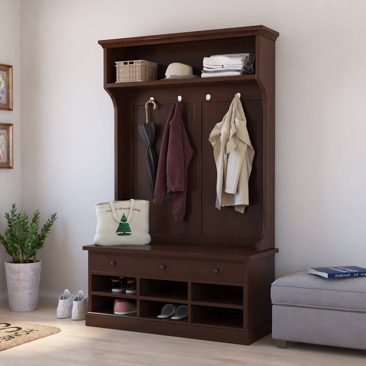 Shoe Storage Cabinet