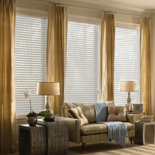 Blinds & Window Shades Design