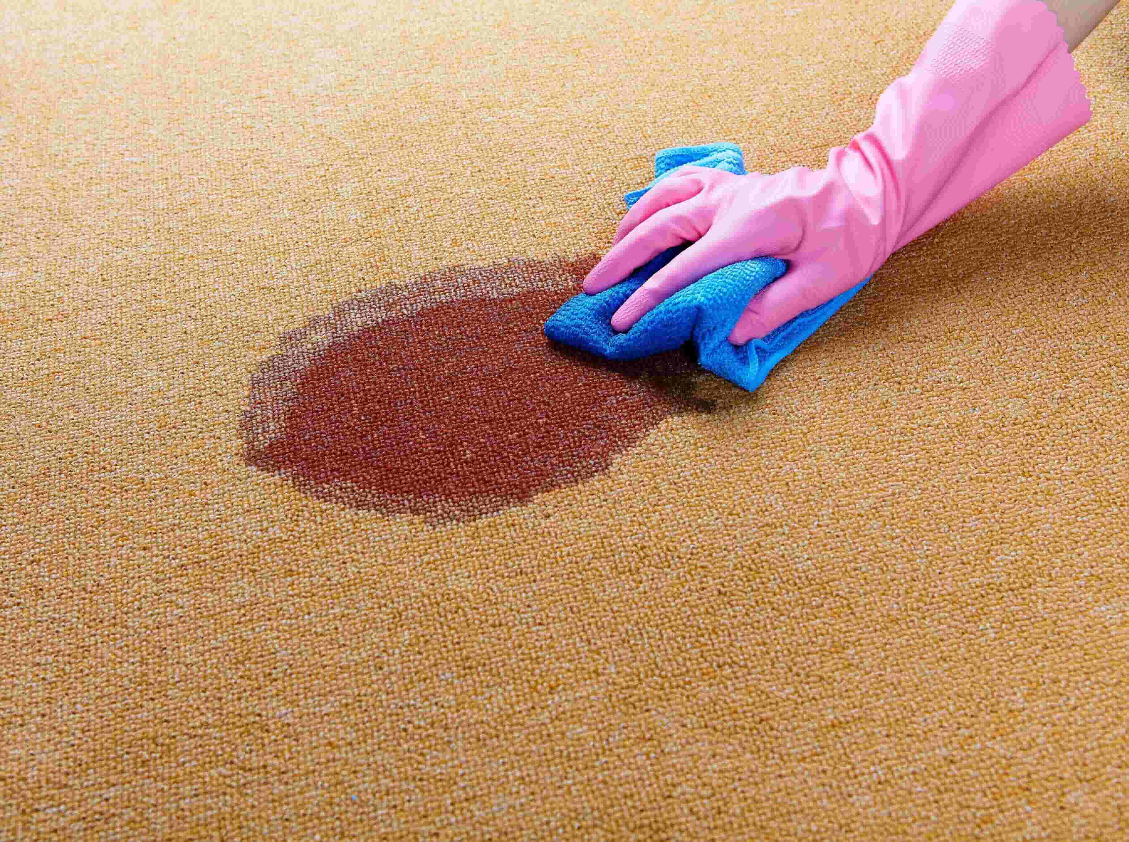 carpet cleaning