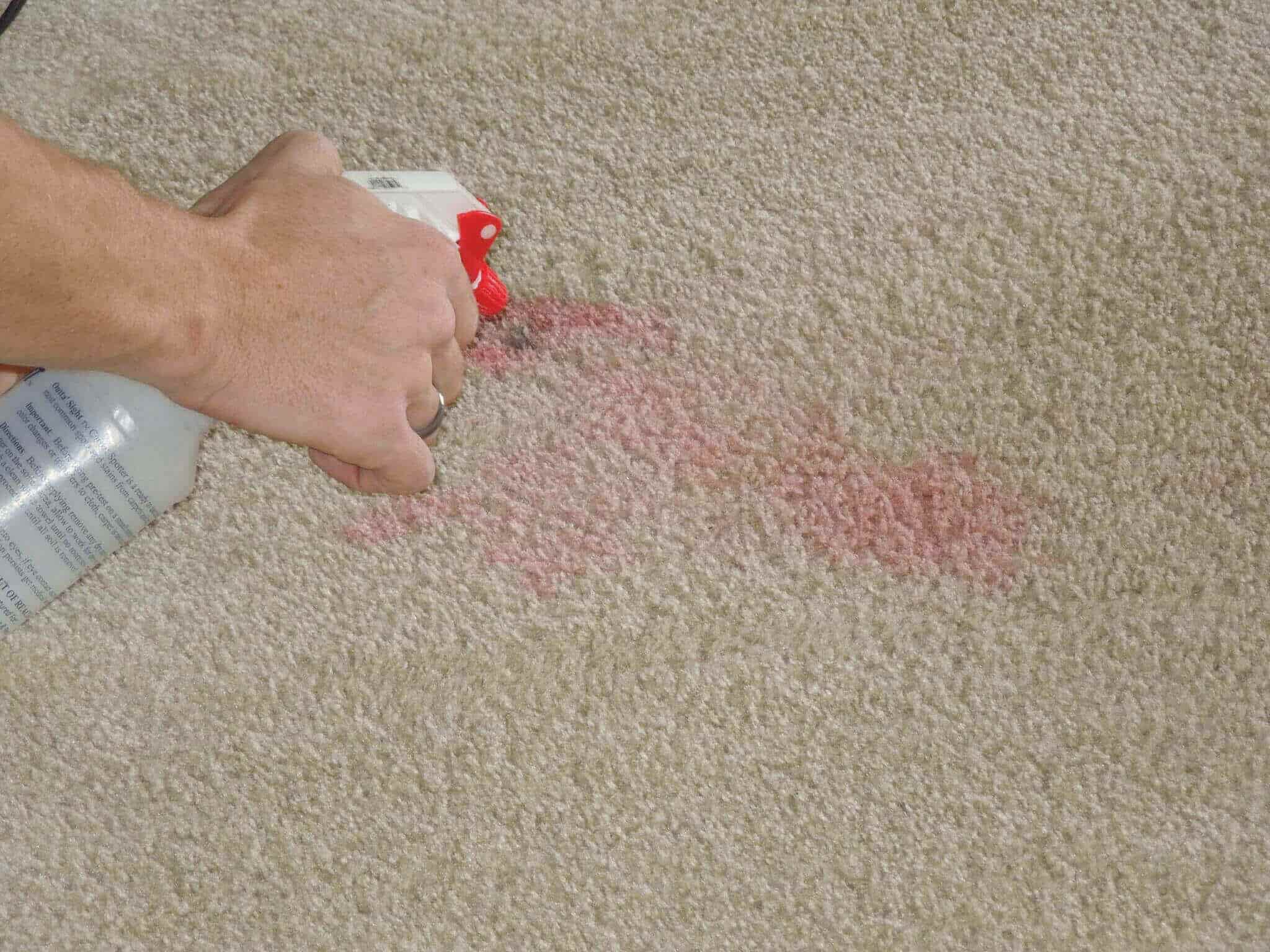 carpet cleaning