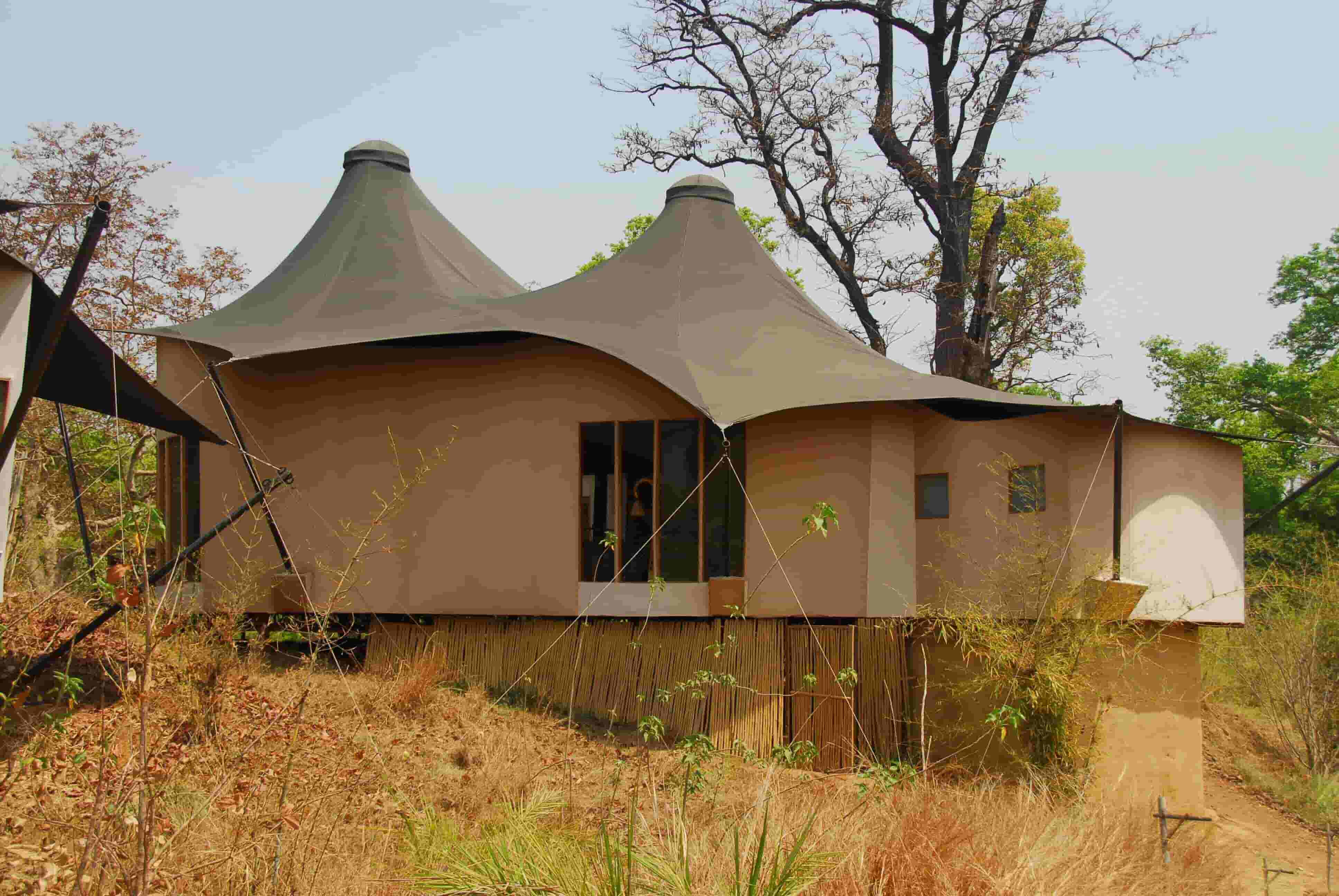 Bajaar Rola, Kanha National Park