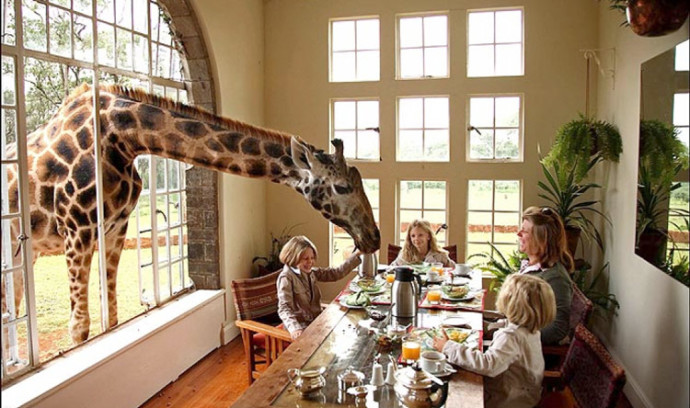 Giraffe Manor