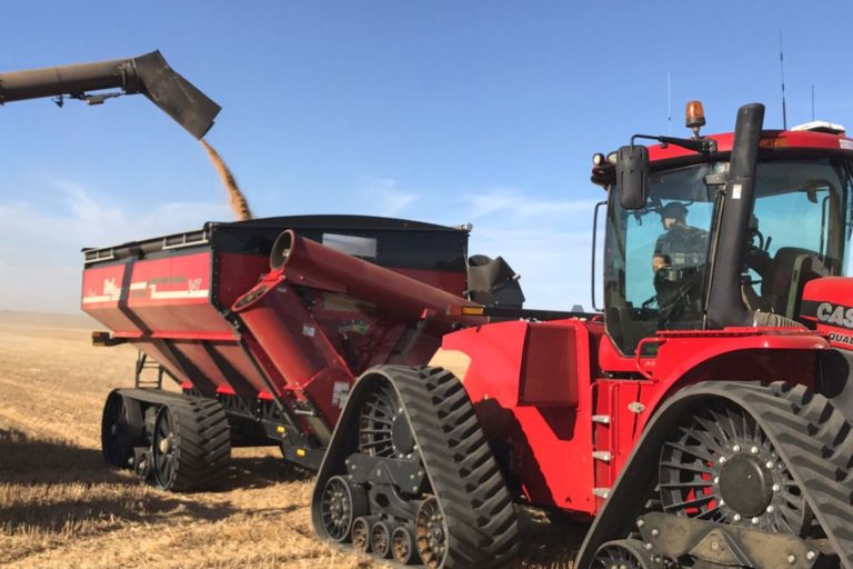 How the Right Grain Carts Make Harvesting Easier Live Enhanced