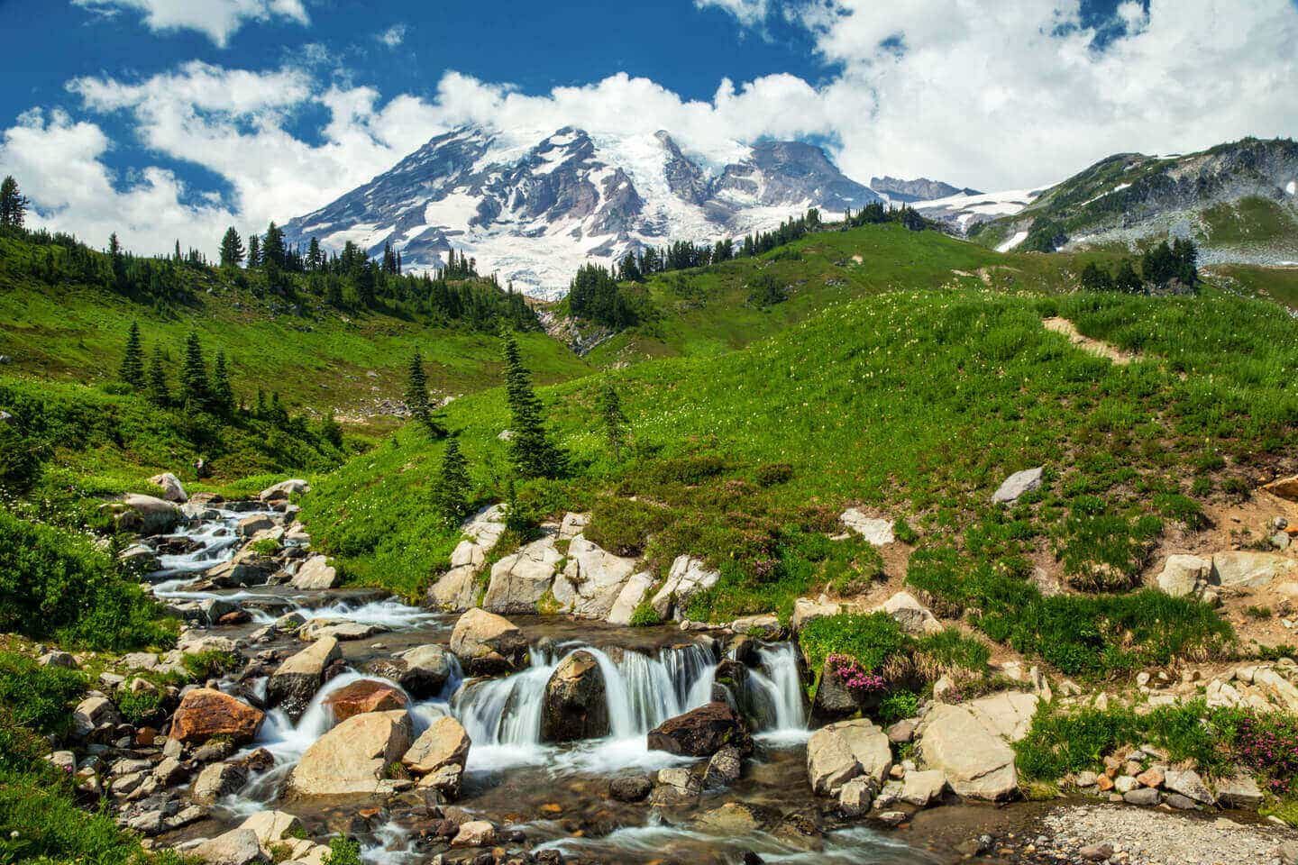 Mount Rainier National Park