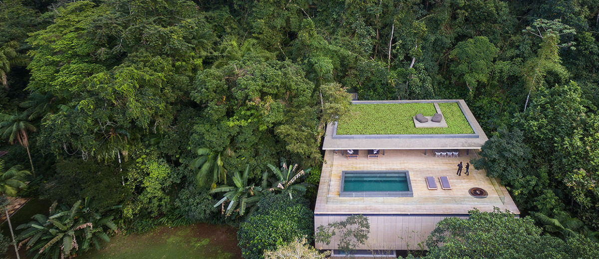 jungle house marcio kogan