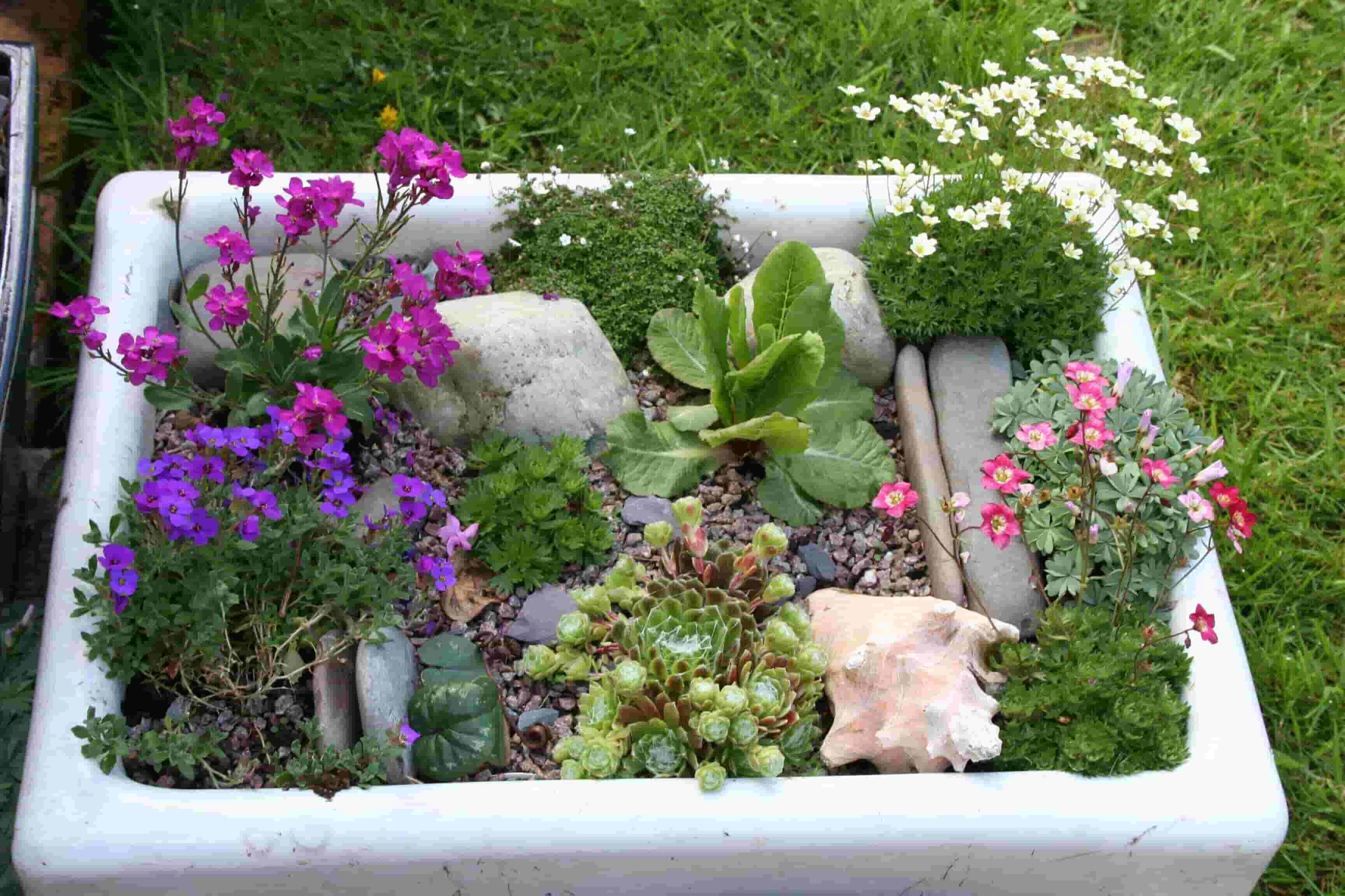 sink garden