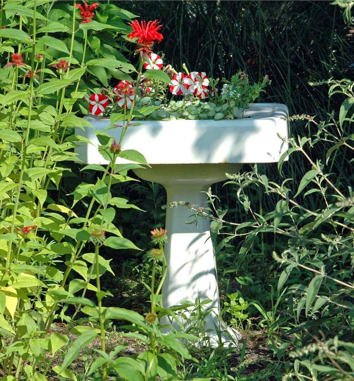 sink garden