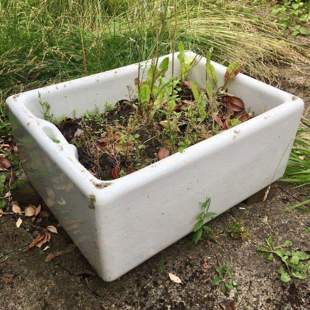 sink garden