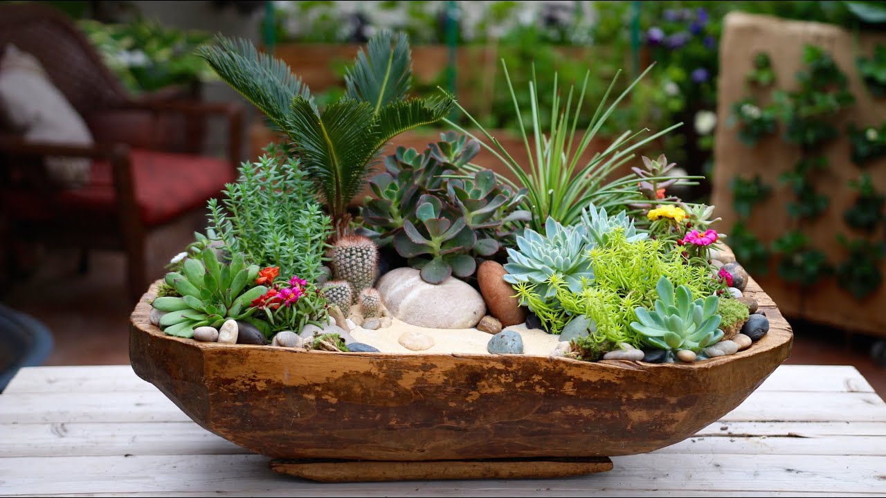 sink garden