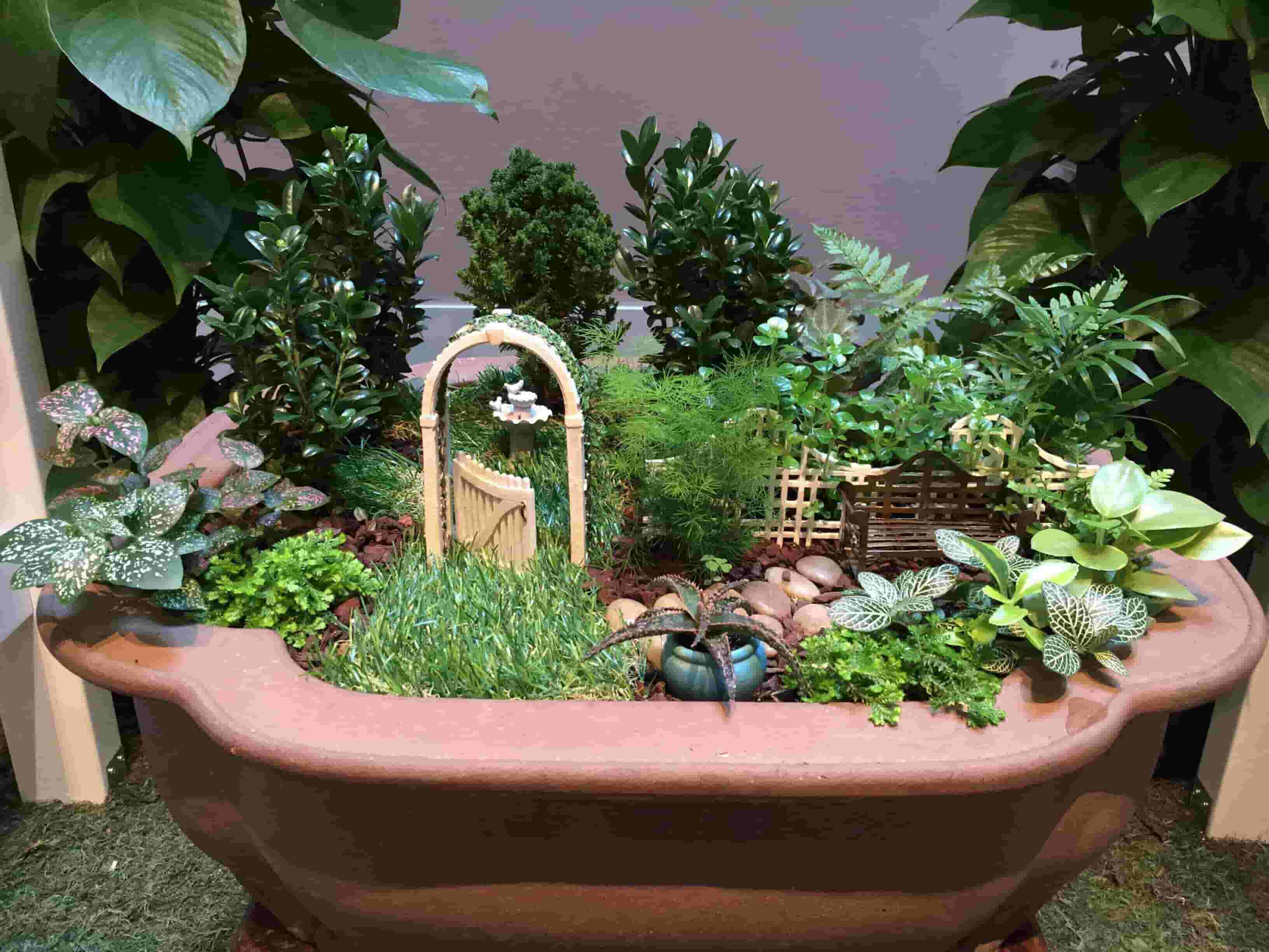 sink garden