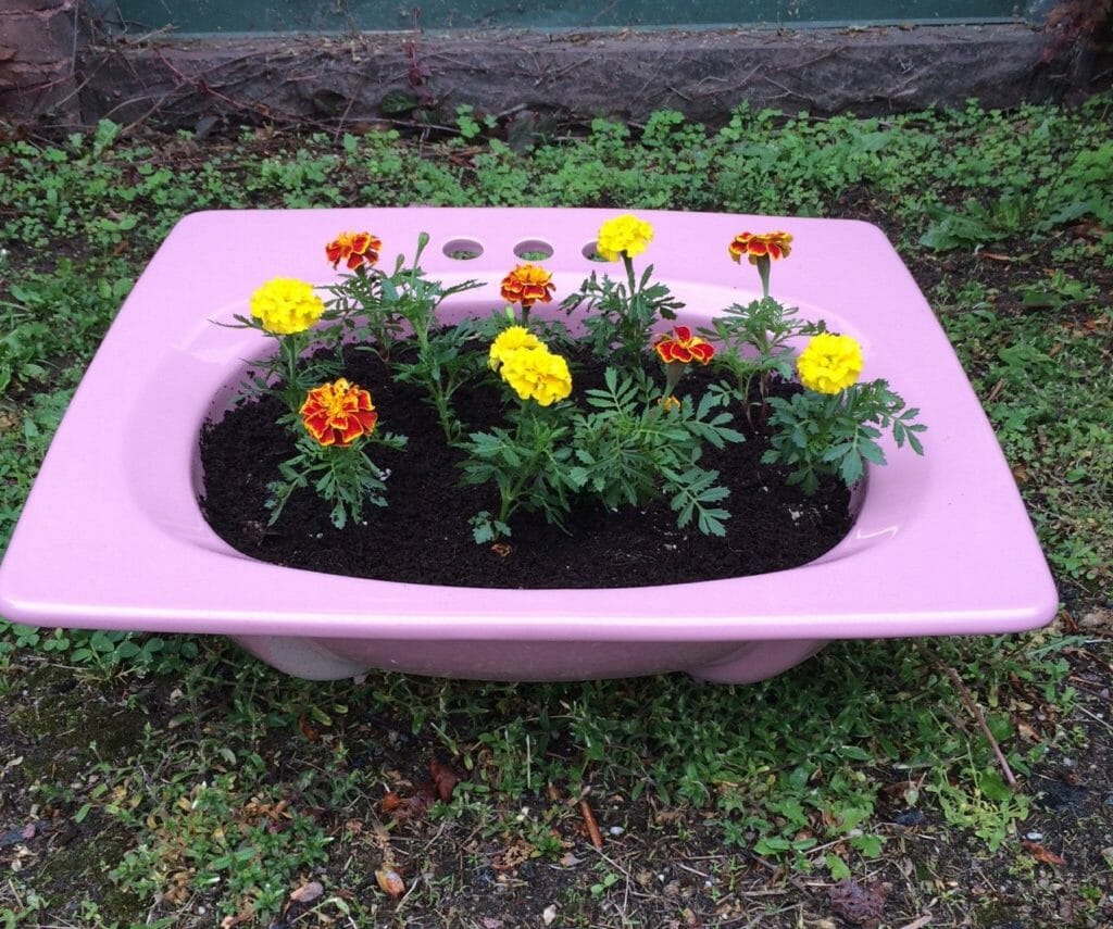 sink garden