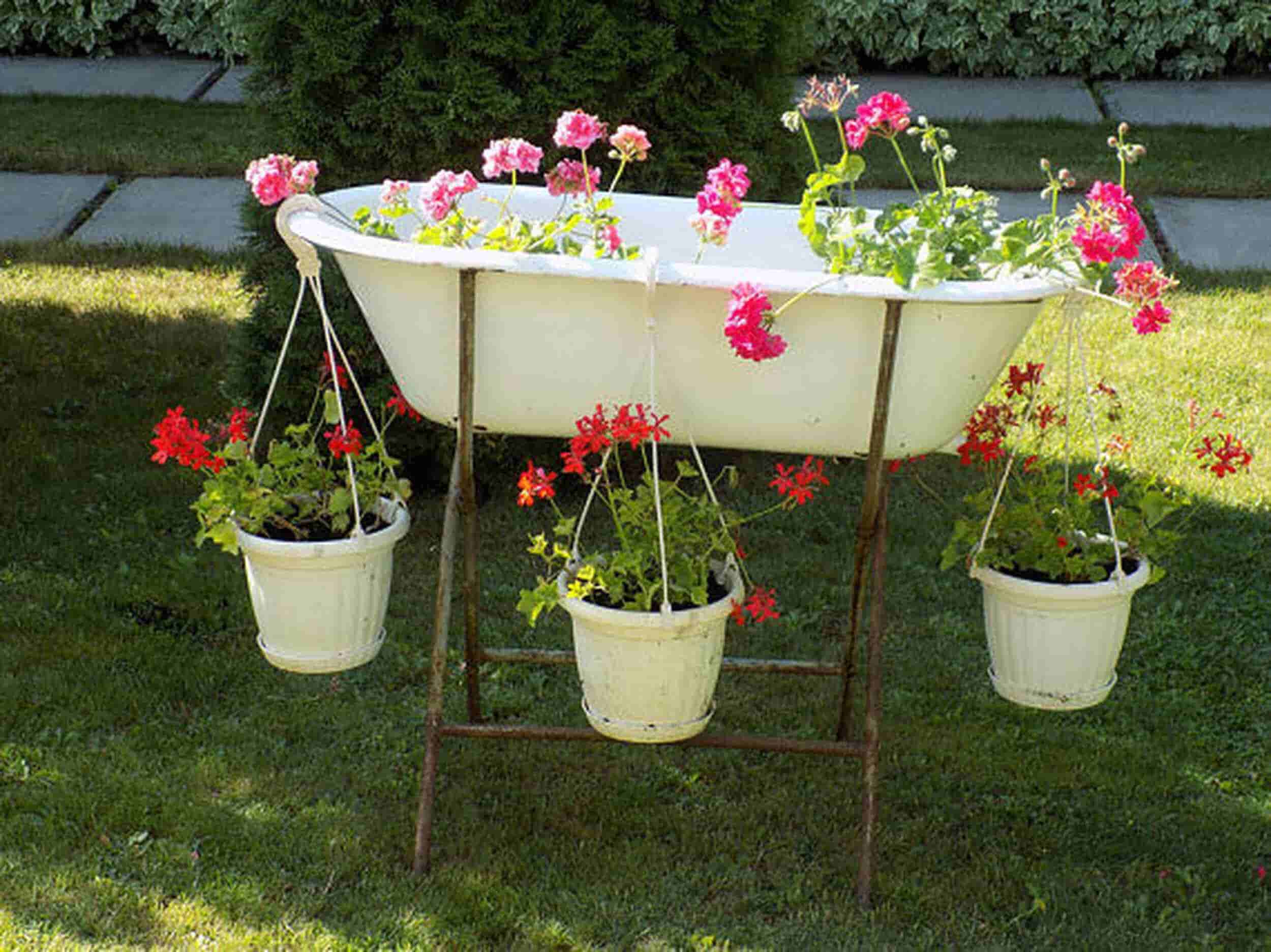 sink garden