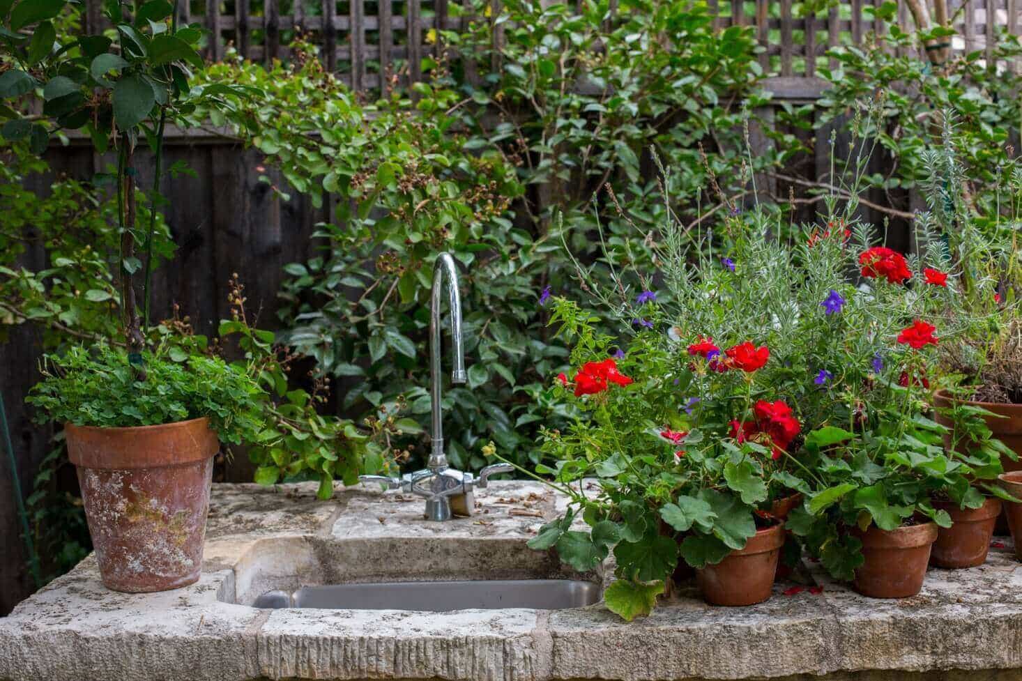 sink garden